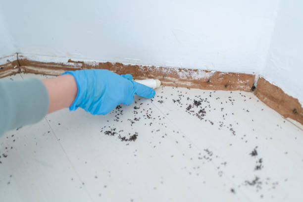 Best Pest Prevention Services  in Eureka Mill, SC